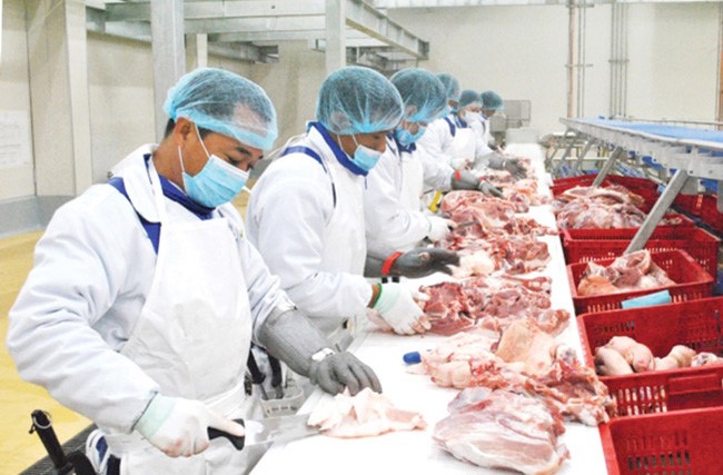 Nhà máy: Đài Hòa (台和)