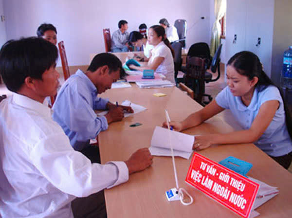 Tư vấn và hướng nghiệp xuất khẩu lao động